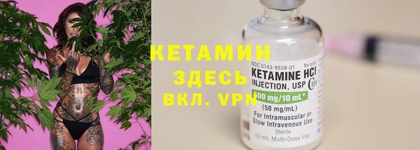 ПСИЛОЦИБИНОВЫЕ ГРИБЫ Бородино