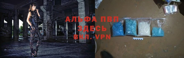сатива Бронницы