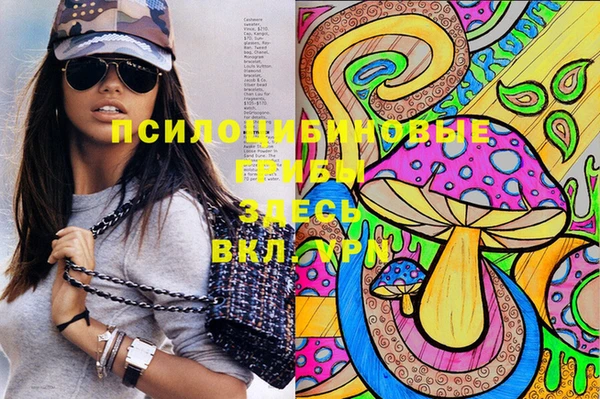 сатива Бронницы