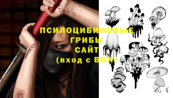 ПСИЛОЦИБИНОВЫЕ ГРИБЫ Бородино