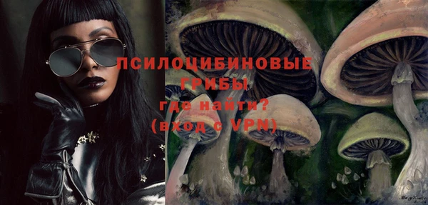 ПСИЛОЦИБИНОВЫЕ ГРИБЫ Бородино