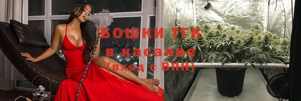 spice Верхний Тагил